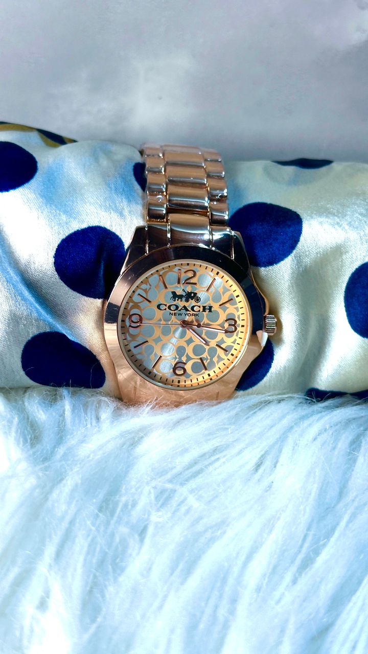 CH01 Montre inspirée