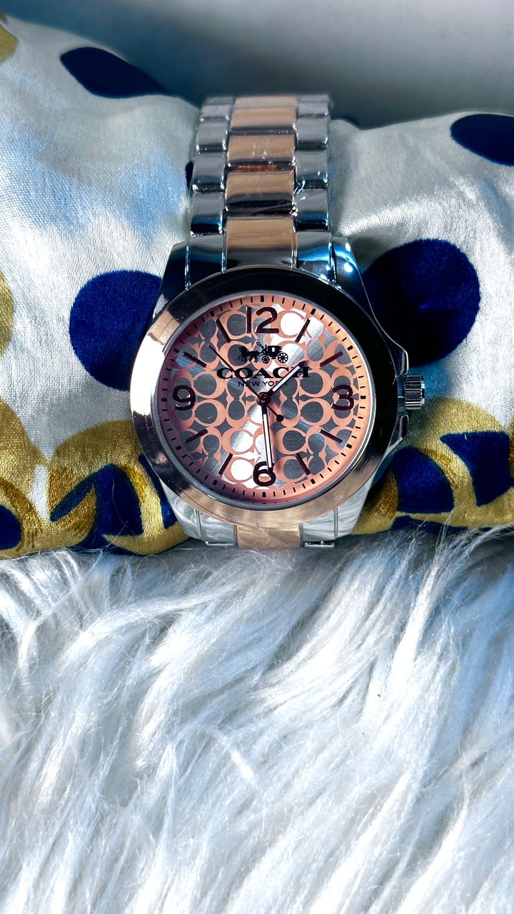 CH01 Montre inspirée