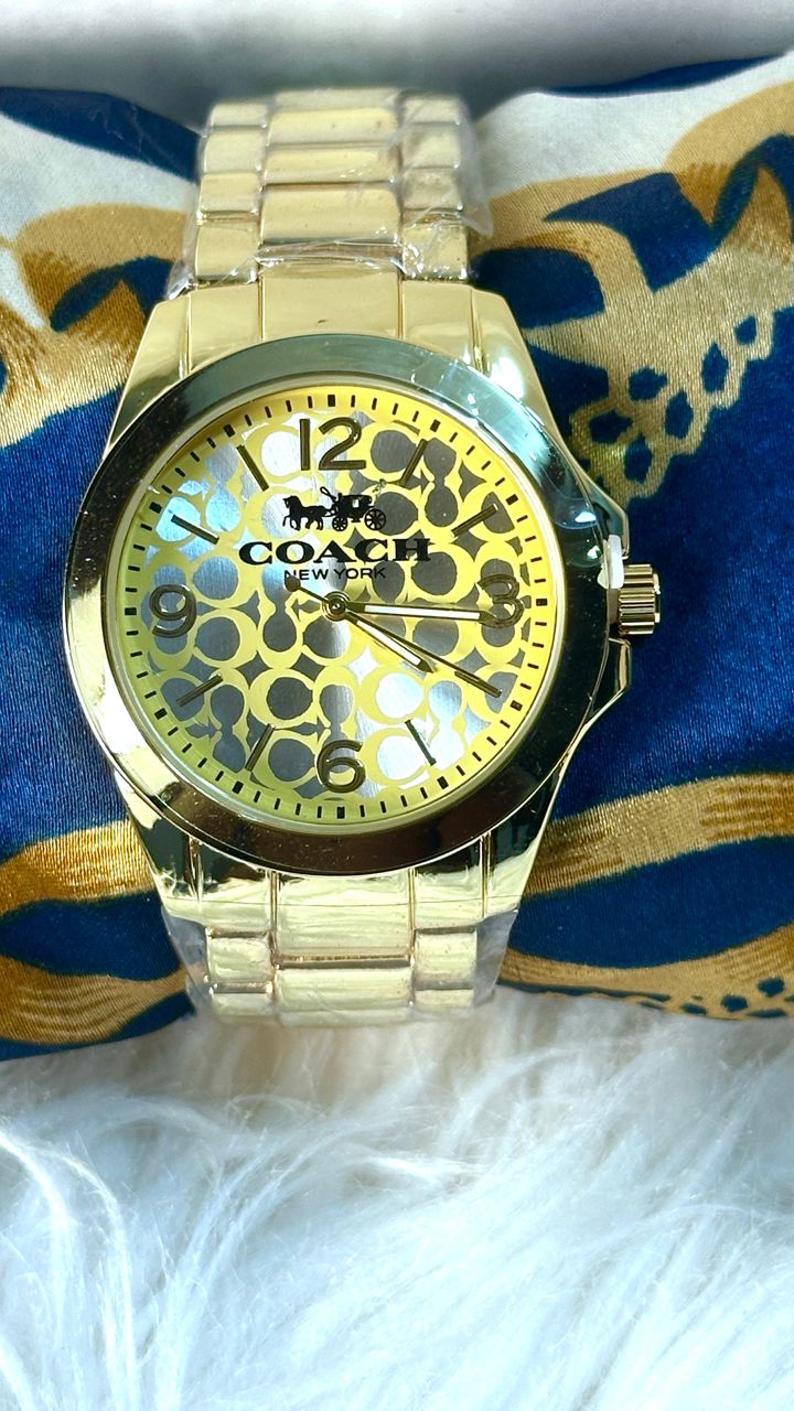 CH01 Montre inspirée