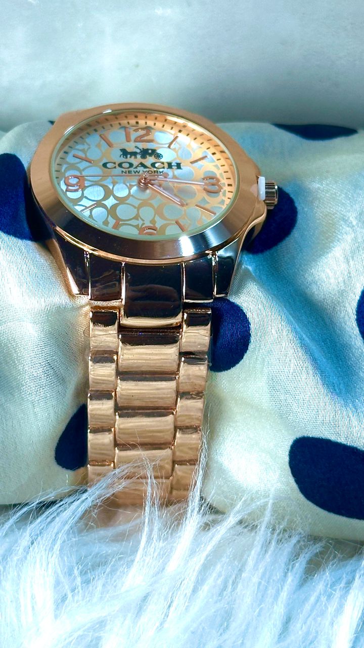 CH01 Montre inspirée