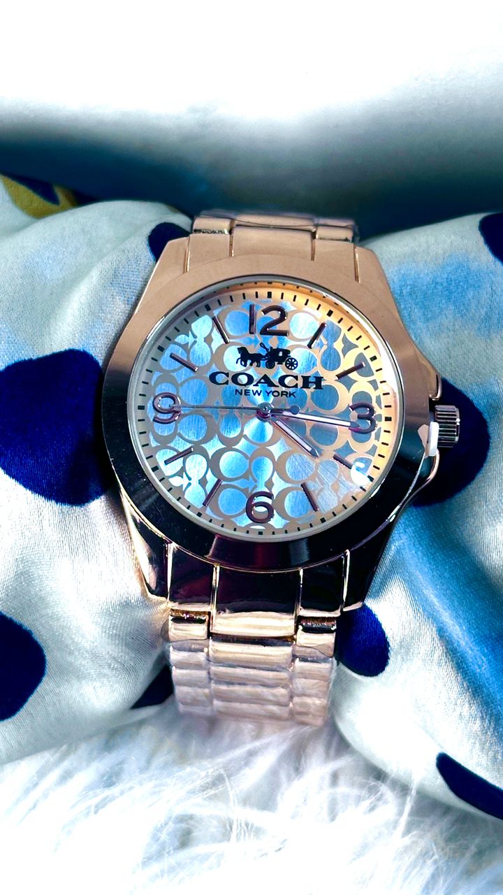 CH01 Montre inspirée
